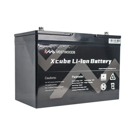 Vestwoods 100Ah 12.8V 12V Lithium-ion (LiFePO4) Battery – FIRST LIFE /
